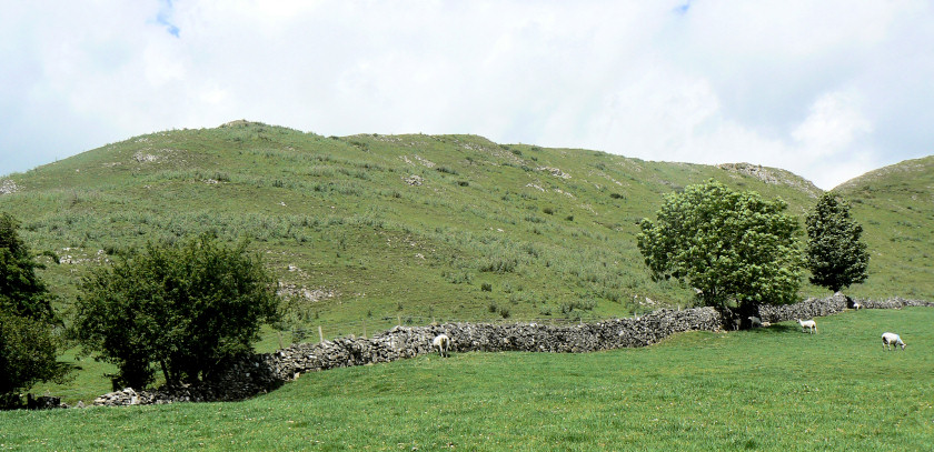 Bunster Hill Bunster Hill